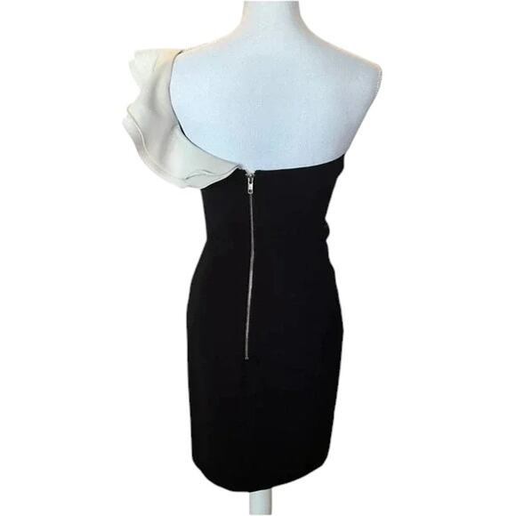 PARKER Imani Ruffle-Trim One-Shoulder Mini Dress Size Small - Picture 8 of 9